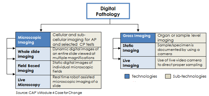 Digital Pathology Background and Framework
